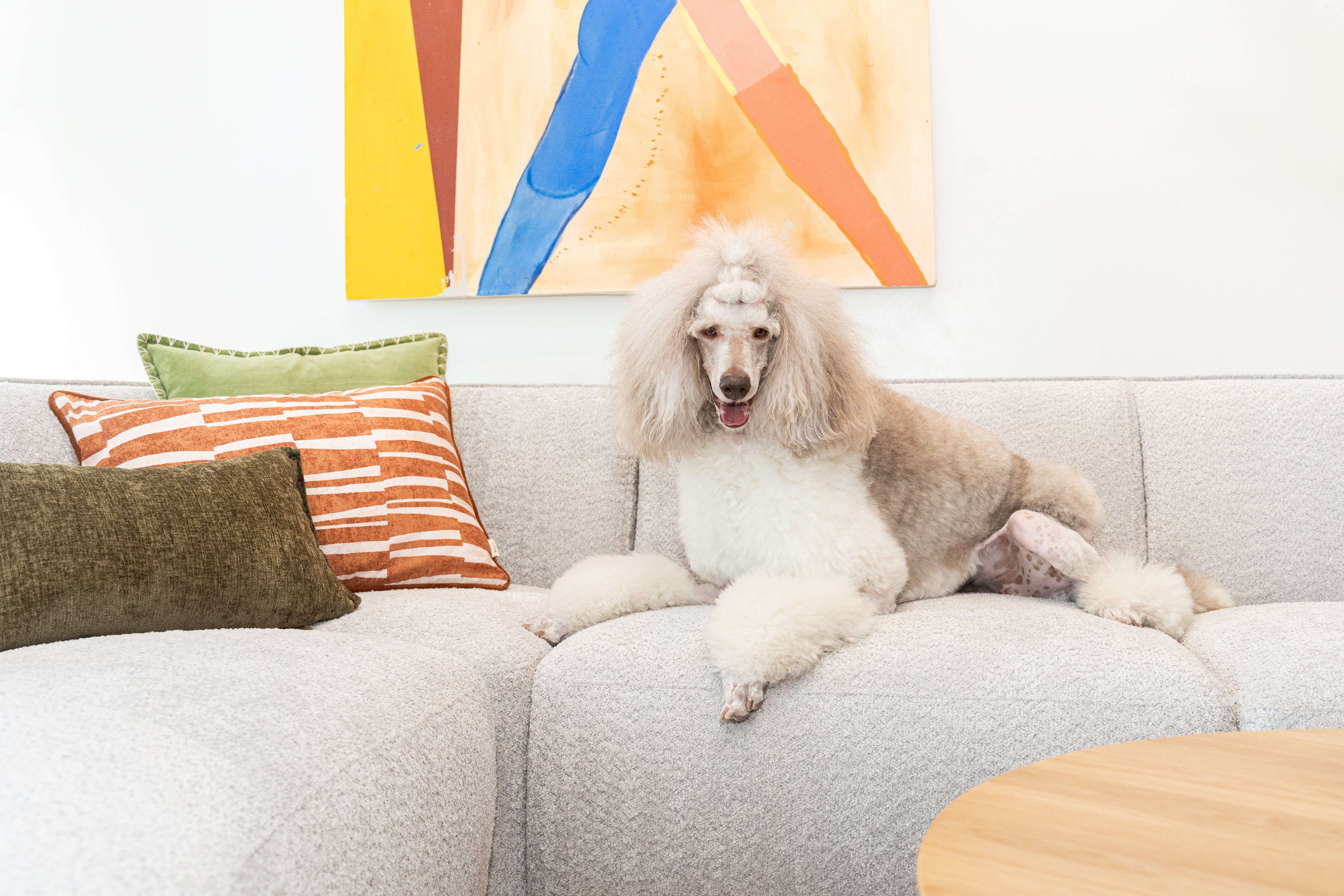 The Best Easy-to-Clean Sectional for Denver Homes