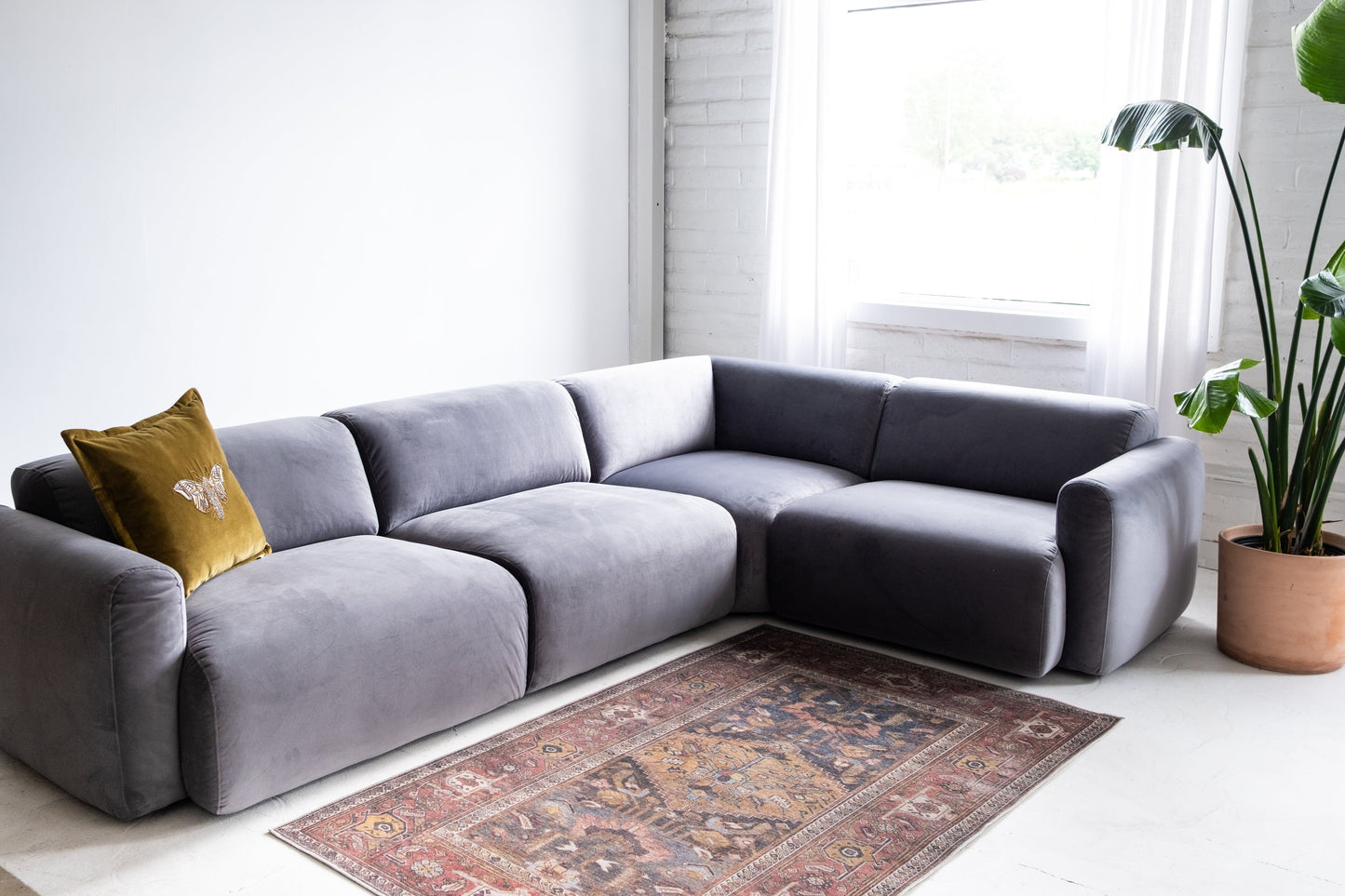 Gray sectional sofa in a living room with a patterned rug and plant.