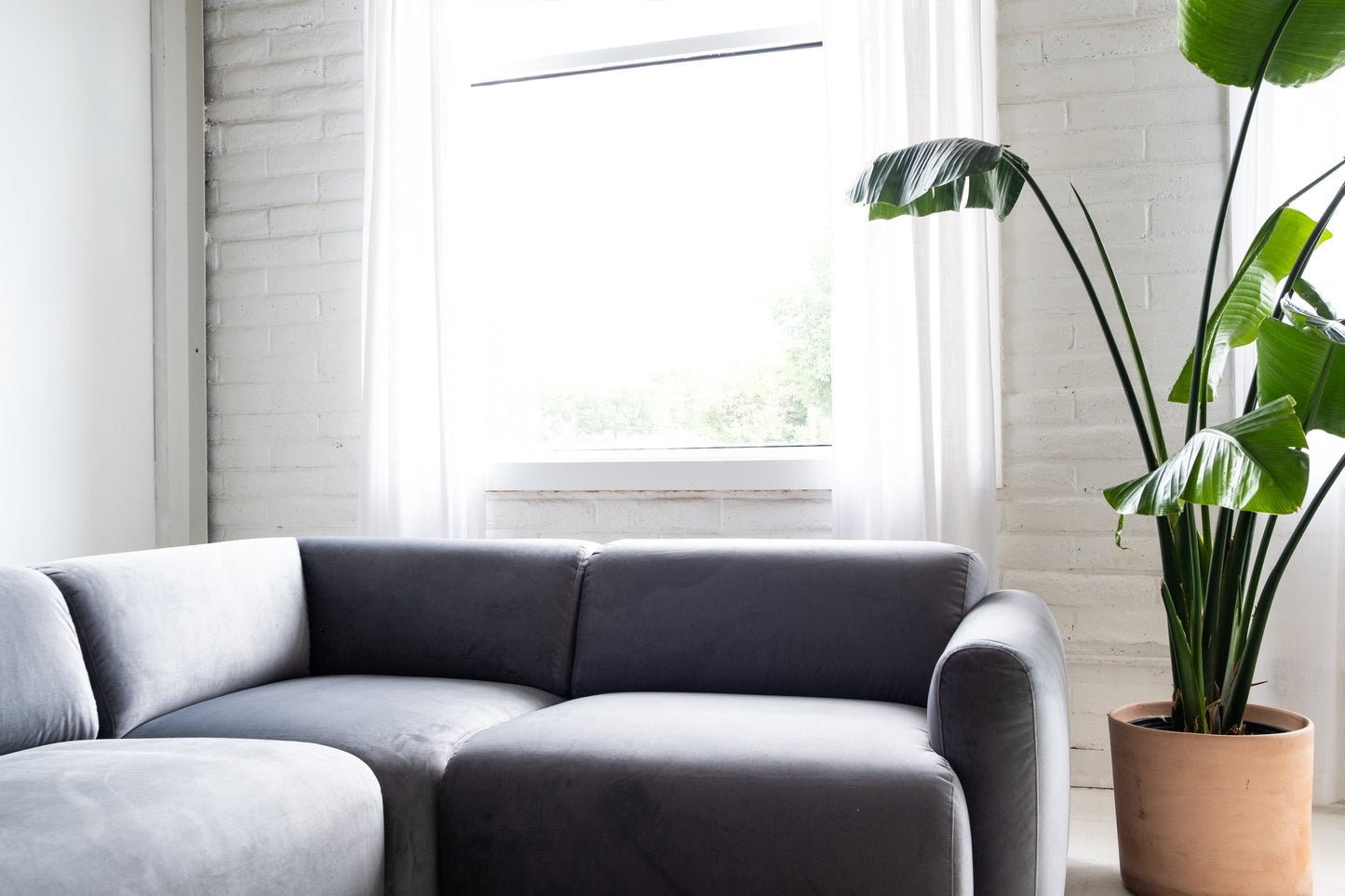 Gray sectional sofa in a room with a large window and a potted plant.